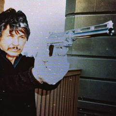 Magnum 357 [Charles Bronson's Death Wish]