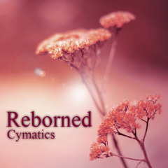 Cymatics - Reborned (Ambient mix)