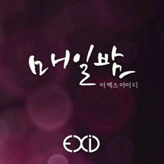 매일밤