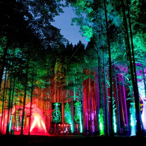 Stream Neurolix - Psychedelic Forest Mix by Neurolix | Listen online for  free on SoundCloud