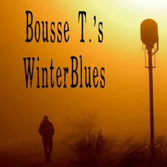 Bousse T.'s Winterblues