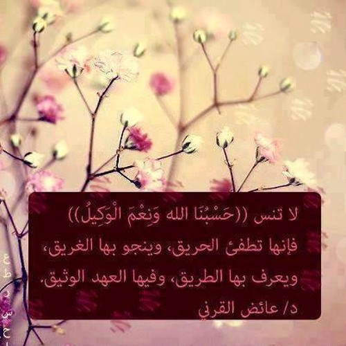 www.TvQuran.com