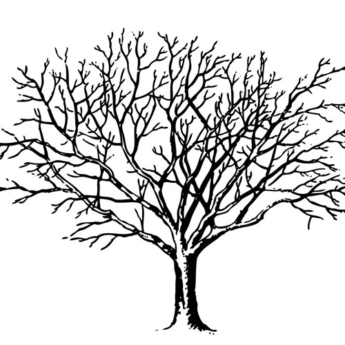 Radiohead Fake Plastic Trees Cover Ft Ucay By Lalanloreni On Soundcloud Hear The World S Sounds