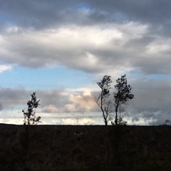 Cosmos With Chris Chorney On Cello