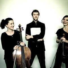 Haydn Piano Trio in G-major_Andante