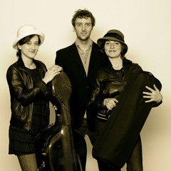 Haydn Piano Trio in G-major_Rondo all'Ongarese-Presto