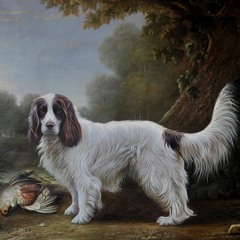 My history with dogs