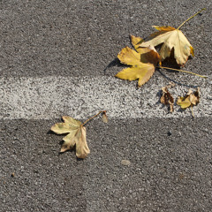 JESEN A CAPELLA DEMO