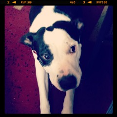 I Miss You - Yellow Mita (Co-created with Menna's Lyrics - Short Demo)