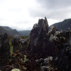 Uplands