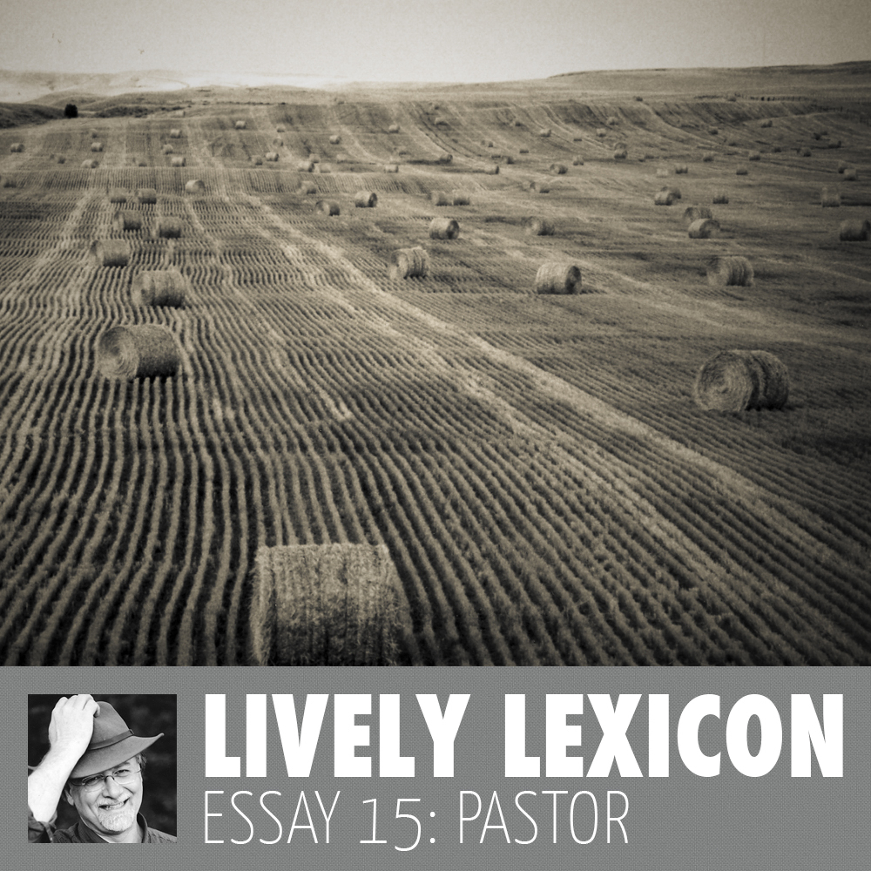 Lively Lexicon