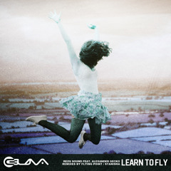 Learn To FLY