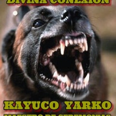 Divina Conexion, Maeztro de Ceremoniaz, Kayuco & Yarko - Mandibulas de Perro
