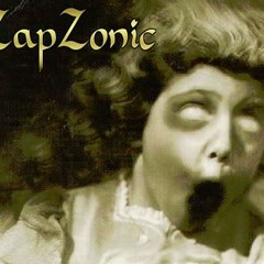 Zebras Crossing The Street (ZapZonic RMX)