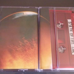 Bluezr - Love You (in Perpetuity) (rbe | bluezr - spark of fire SN003)