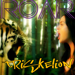 KATY PERRY ROAR (Triskelion RE-edit) free download.MP3