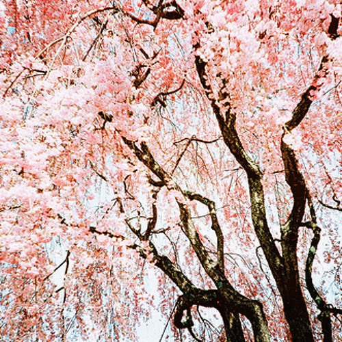 Departures あなたにおくるアイの歌 Egoist Male Ver By Fuwasakin