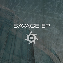 Dioptrics Savage