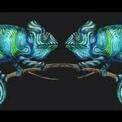 Hyperdimensional Chameleons - Psychogaia (wip)