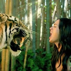 Roar - Katty Pery (Marr)