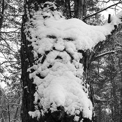 Mulla // Winter Sessions