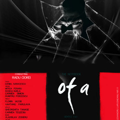 Notebook Of A Gentle Fat Swan