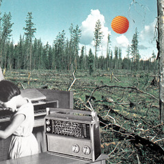 The Pictish Trail - Long In The Tooth (radio edit)