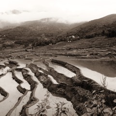 Teardrops Of Mother Earth