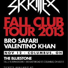 Roadtrip to Skrillex/Bro Safari 11-12-13