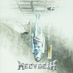 This Was My Life (Megadeth Cover) (Instrumental)