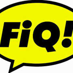 FIQ 2013 - Webcomics