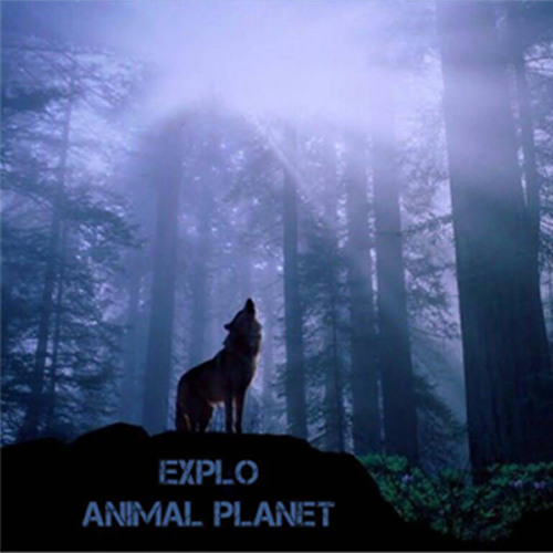 Animal Planet