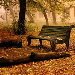 Nature Morte