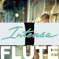 Intense Flute (Jimmy Mehoff Mashup)