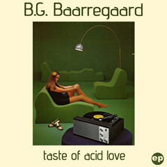 B.G. Baarregaard - Gone