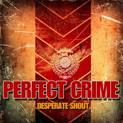 perfect crime