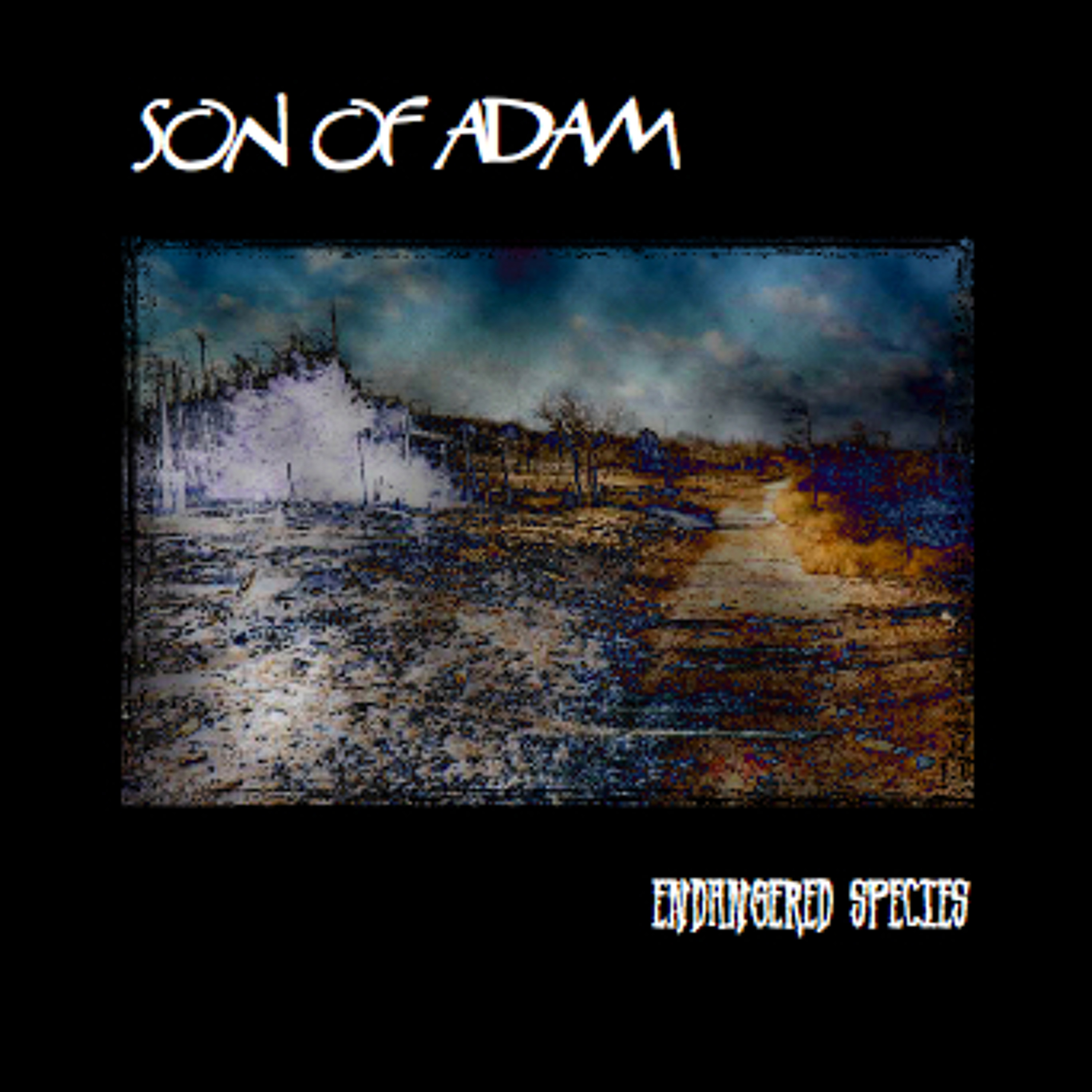 Sonofadam