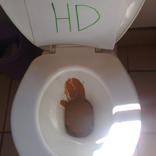 Llamada De Ruiditos Para Alfredo  JOTH Temporada 1