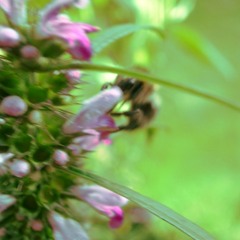 Fuckin Mixtape Volume Two