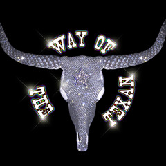 Way of the Texan - control arms