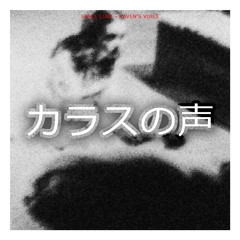 SPACE LOVE - RAVEN'S VOICE