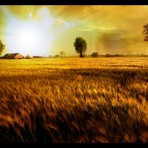 Favorite Orchestration Music