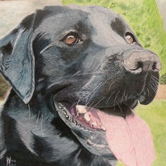 FluJo Lyraci$t-L.A.B  [Prod. by FluJo]