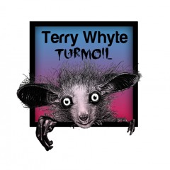 Free Download/ Terry Whyte - Turmoil (Original Mix) /Creepy Finger Records