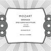 Mozart - Eine Kleine Nachtmusik KV. 525 - I. Allegro