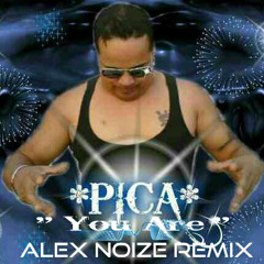 Pica Ortiz - You Are (Alex Noize Remix)