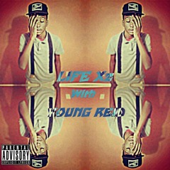 Young Reid Free Bricks Snippet