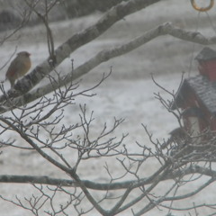 And so this is CHRISTmas!