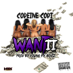 Want II - Prod By Young Fly Beatz