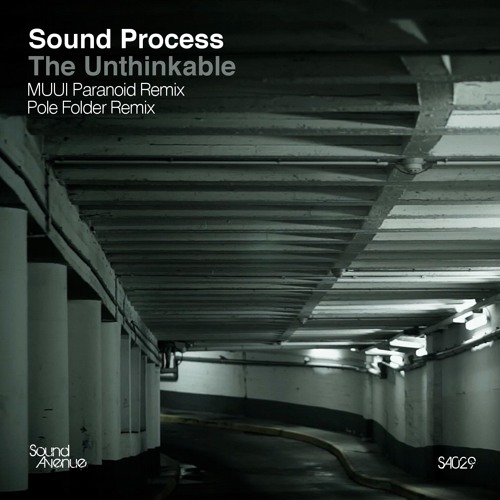 Sound Process - The Unthinkable - Pole Folder Remix [Soundcloud preview]